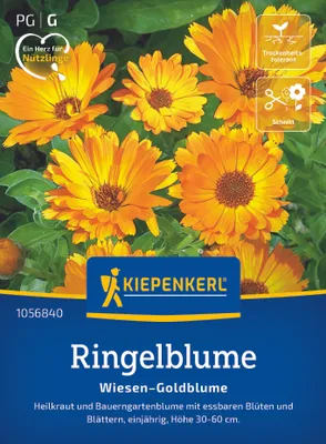 Produktbild von Kiepenkerl Ringelblumensamen Wiesen-Goldblume Calendula officinalis 150 Pflanzen
