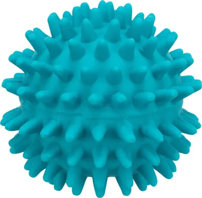 Immagine prodotto di Igelball Hundespielzeug ø 7 cm diverse