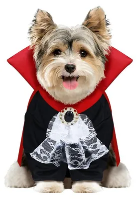 Productafbeelding van FIESTAS GUIRCA | Wooferatu kostuum voor huisdieren (S/HOND) - Omhelm en jumpsuit -