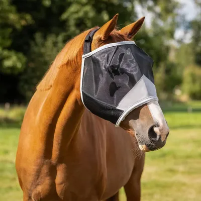 Produktbild von QHP Fliegenschutzmaske Solaire ohne Ohren