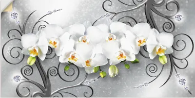 Produktbild von ARTland Wandbild, selbstklebend weiße Orchideen auf Ornamenten Größe: 150x75 cm