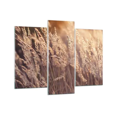 Produktbild von Bilder auf glas - 3 Teile - Boho Ähren Feld - 130x100cm - Glasbilder - Wandbilder - Bilder - zum Aufhängen bereit - Wanddekoration aus Glas - Glas Bilder - Wandbild auf Glas - GCB130x100-4838