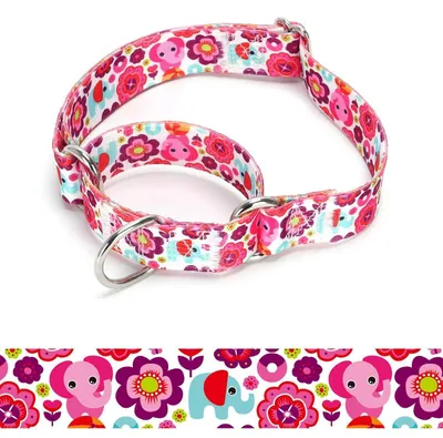 Zdjęcie produktu dla Obroża dla psa typu Martingale, nylonowa, regulowana, rozmiar M: 36-45 cm, model A85NO21