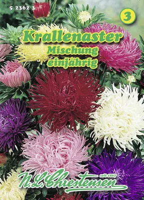 Produktbild von Krallenaster Mischung | Asternsamen von N.L. Chrestensen