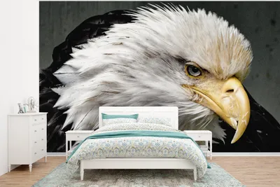 Produktbild von MuchoWow® Fototapete für Wohnzimmer oder Schlafzimmer Wandtapete Vinyl Motivtapete Tiere - Vogel - Adler - 375x280 cm - Schlafzimmer tapete