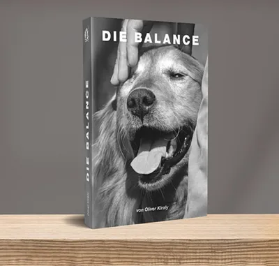 Produktbild von Oliver Kiraly - Die Balance