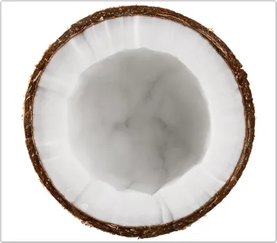 Produktbild von Spritzschutz Herdabdeckplatte Schneidebrett aus Glas Halbierte Kokosnuss 1-Teilig (60x52cm)