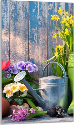 Image de Plaque de recouvrement pour cuisinière 30x52 Vitrocéramiquefeld Couverture anti-éclaboussures Plaque de verre Deko Planche à découper, Jardin Bois