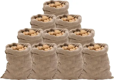 Obrázok produktu pre vidaXL Jutové vrecia 10 ks 60x105 cm 100% juta 220 g/m²