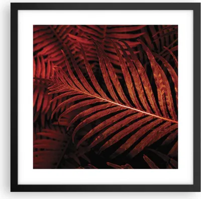Produktbild von Gerahmtes Poster - Schwarzer Rahmen - Rot Blätter Palmen - 40x40 cm - Wand Bild - Wanddeko - Wandbilder - Kunstposter - Wandposter - Bilderrahmen - Bilder - Kunstdruck - P2BAC40x40-4816