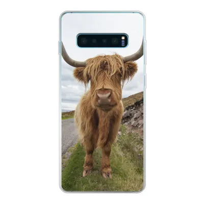 Produktbild von MuchoWow® Handyhülle Schutzhülle Hülle für Samsung Galaxy S10 Lite Schottischer Highlander - Hörner - Berg Silikon Softcase Handy Hülle - Schutz