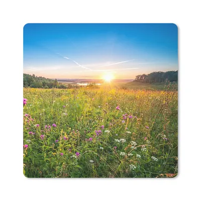 Produktbild von MuchoWow® Mauspad Mousepad Sonne - Gras - Blumen 20x20 cm - Mousepads - Maus Mat - Pad - Mausunterlage - Desk Mat - Bureauartikeln