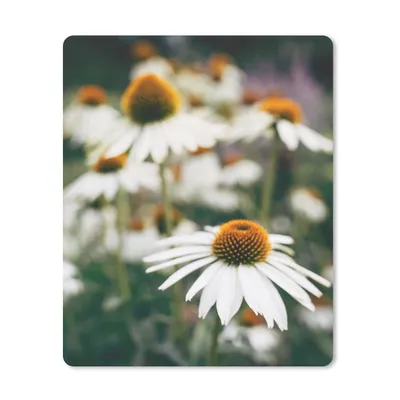 Produktbild von MuchoWow® Mauspad Mousepad Blumen - Herbst - Botanisch 19x23 cm - Mousepads - Maus Mat - Pad - Mausunterlage - Mauspads - Spielen