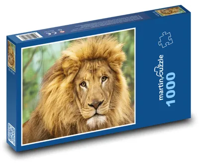 Obrázok produktu pre Puzzle 1000 Lev - kráľ savany - martinpuzzle
