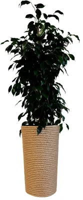 Obrázek produktu pro ADONI Jutový květináč s vložkou (47 cm) - Ručně vyráběný vysoký květináč v boho stylu - Ø 28 cm, stojící na podlaze, béžová příroda