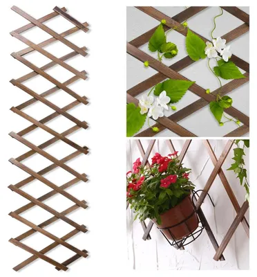 Produktbild von Rankgitter Holz - Ausziehbares Rankgitter - Pflanzenrankhilfe - Rankhilfe für Kletterpflanzen - Spalier für Garten, Balkon und Terrasse - 29 x 200 cm