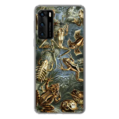 Produktbild von MuchoWow® Handyhülle Schutzhülle Hülle für Huawei P40 Batrachia - Haeckel - Alte Meister Silikon Softcase Handy Hülle - Handytasche
