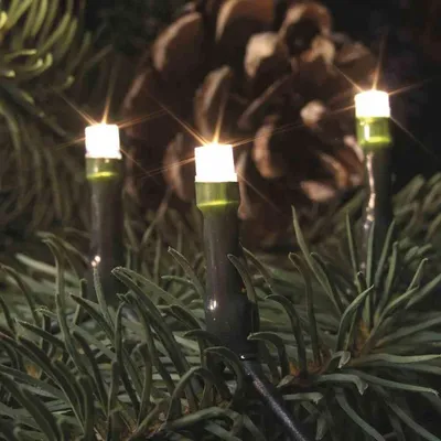 Zdjęcie produktu dla LED mini lampki choinkowe 20 ciepły biały / zielony jedna nitka do wnętrz 09243