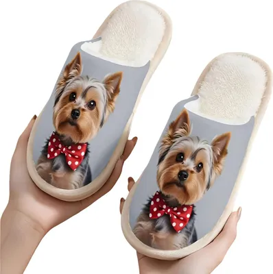 Zdjęcie produktu dla Domowe kapcie zimowe - Yorkshire terrier