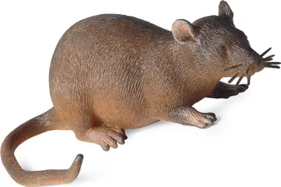 Produktbild von Realistische Tiermodellfiguren, Simulation, statische TPR-Gummi-Mausfigur, Stressabbau-Spielzeug, Dekompression, Kinderstreich-Requisiten