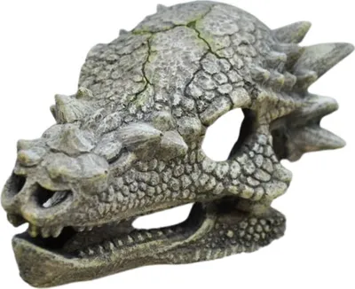 Produktbild von Amtra Drachen Schädel Aquarium-Deko