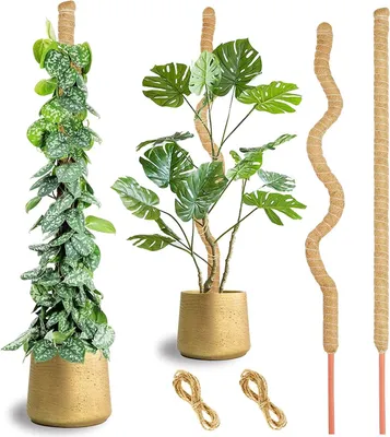 Image de Solidchoice - Grande tige en mousse pour Monstera, 2 x 45 pouces, idéale pour les plantes grimpantes