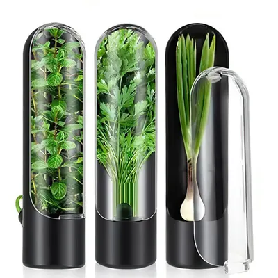 Three clear containers with fresh herbs inside, standing upright on a white background.