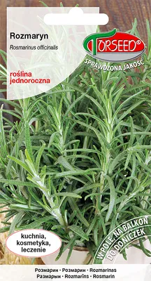Produktbild von Rosmarin Samen 0.1g - Torseed
