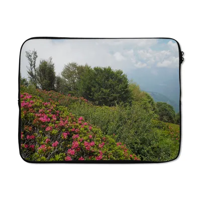 Produktbild von MuchoWow® Laptop Hülle 17 Zoll Laptoptasche Wildblumen auf dem Berg Spalavera im Nationalpark Val Grande - Zipper - Schutzabdeckung