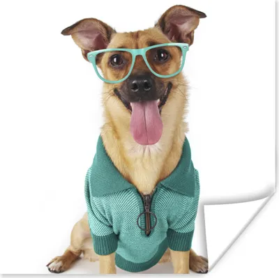 Produktbild von MuchoWow® Poster Hund - Brille - Shirt - Hipster 75x75 cm - Wand Dekoration