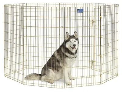 Produktbild von MidWest Homes for Pets Hunde-Gehege aus Metall 548-48, zusammenklappbar, mit Tür