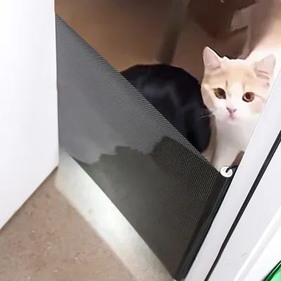 Productafbeelding van Uitschuifbaar kattenhekje voor deuropeningen