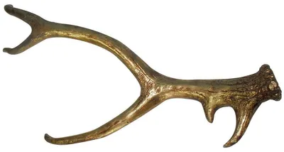 Produktbild von Geweih Tischdeko Hirschgeweih gold 63x27x9cm aus Polyresin Hirsch