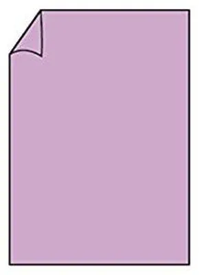 Produktbild von Briefpapier Paperado DIN A4 220 Orchidee