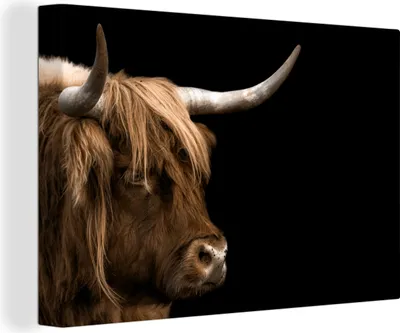 Produktbild von OneMillionCanvasses® - Leinwandbilder - 140x90 cm, Schottisches Hochlandrind - Tiere - Kuh, Wandbilder Kunstdruck Wanddekoration - Foto auf Leinwand - Gemälde auf Holzrahmen