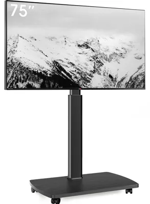 Produktbild von TV Bodenständer Rollbar mit Holzregal 43-75 Zoll bis 50kg VESA 600x400mm
