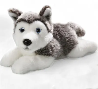 Produktbild von Carl Dick Husky liegend, Hund, ca. 20cm 2154008 Kuscheltier, Plüschtier, Stofftier