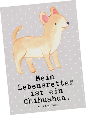 Produktbild von Mr. & Mrs. Panda Grußkarte Chihuahua Lebensretter - Grau Pastell - Geschenk, Ansichtskarten, bildkarte, Fotokarte, Postkarte, Postkarten