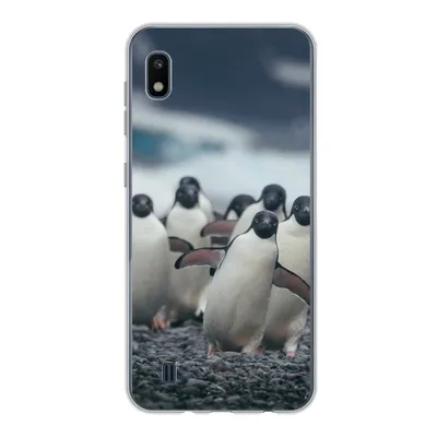 Produktbild von MuchoWow® Handyhülle Schutzhülle Hülle für Samsung Galaxy A10 Adeliepinguine am Strand Silikon Softcase Handy Hülle - Schutzhülle