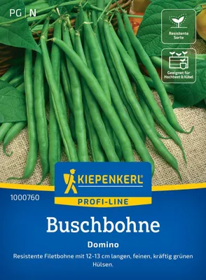 Produktbild von Kiepenkerl Buschbohnensamen Domino Phaseolus vulgaris nanus 8-10 lfd. Meter