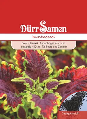 Produktbild von Buntnessel | Buntnesselsamen von Dürr Samen