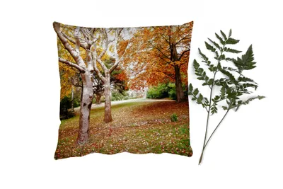 Produktbild von MuchoWow® Zierkissen Sofakissen Wohnzimmer Dekokissen 50x50 cm Herbst - Bäume - Laub - Natur - Komfort - Sofakissen