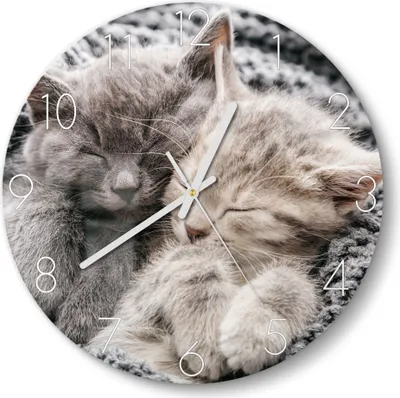 Produktbild von DEQORI Glasuhr Ø30 cm Zahlen 'Eingekuschelte Kätzchen' Wanduhr Glas Uhr Design leise