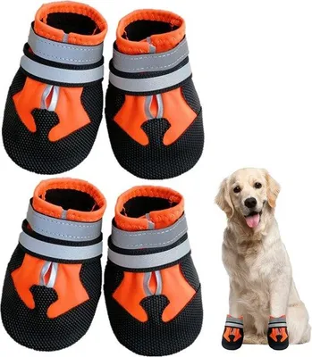 Produktbild von Famanu Hundeschuhe - Wasserdicht und rutschfest - Schwarz