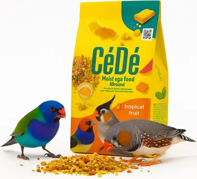 Zdjęcie produktu dla CEDE Allround Tropical Fruit - Karma Jajeczna dla Ptaków 200 g | Wysokobiałkowa Mieszanka z Owocami Tropikalnymi