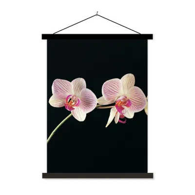 Produktbild von MuchoWow® Textilposter Orchidee - Blumen - Schwarz - Rosa - Knöpfe 60x80 cm mit schwarzem Rahmen - Plakathalter