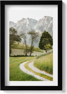 Produktbild von Feldhund in den Bergen– Wandbild mit Rahmen – Gerahmtes Bild  – Wanddekoration – 20x30 cm – Schwarz