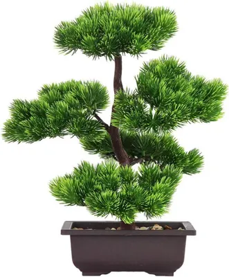 Immagine prodotto di Pianta bonsai artificiale per la decorazione della casa 33cm - motivo bonsai giapponese di pino