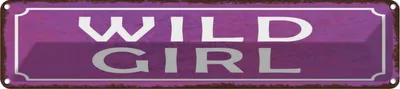 Produktbild von vianmo Blechschild 10x46 cm Wild Girl