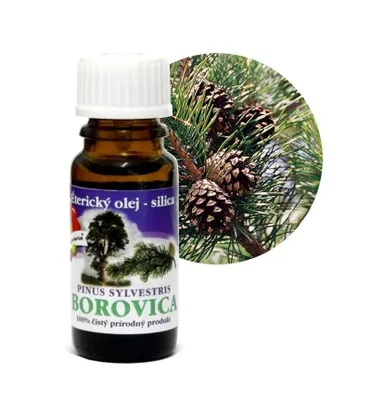 Produktbild von Ätherisches Öl KIEFER 10 ml